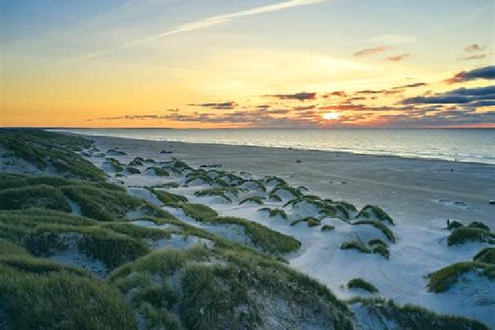 Escorts Lokken, Denmark — Local Companions
