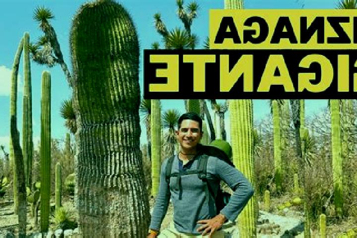 Escorts Loma de Guadalupe (La Biznaga), Mexico — Local Companions