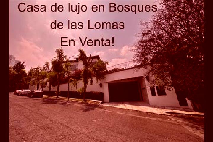 Escorts Lomas de la Cruz, Mexico — Local Companions