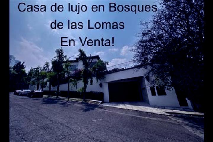Escorts Lomas de la Loza, Mexico — Local Companions