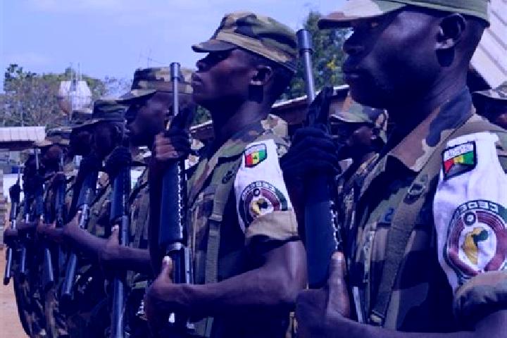 Escorts Lomo-Nord, Ivory Coast — Local Companions