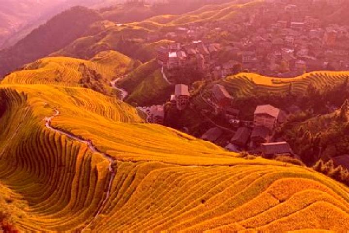 Escorts Longji, China — Local Companions