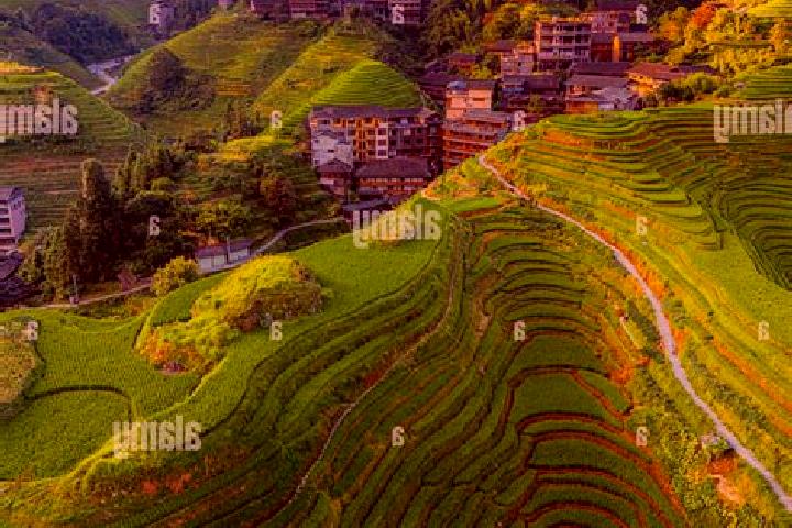 Escorts Longsheng, China — Local Companions