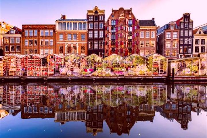 Escorts Loosbroek, Netherlands — Local Companions