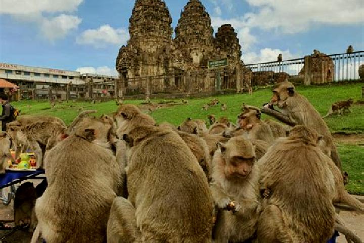 Escorts Lop Buri, Thailand — Local Companions