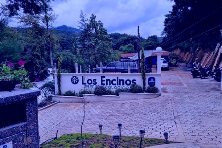 Escorts Los Encinos, Mexico — Local Companions