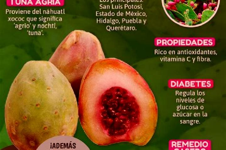 Escorts Los Miranda (El Xoconoxtle de Abajo), Mexico — Local Companions