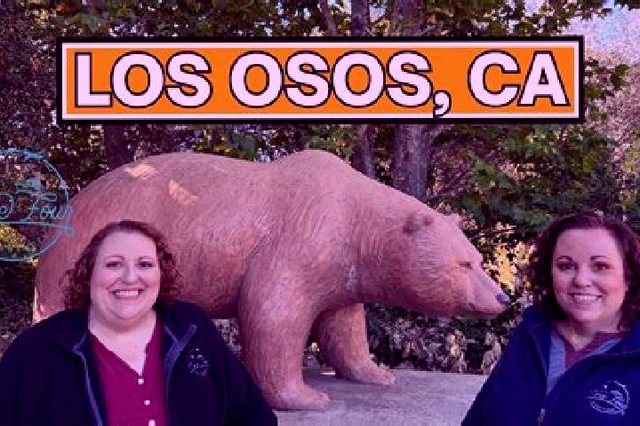 Escorts Los Osos, United States — Local Companions