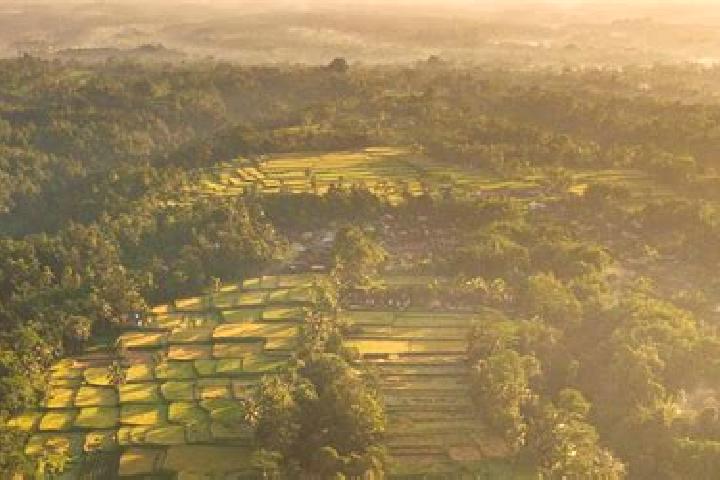 Escorts Lubuk Basung, Indonesia — Local Companions
