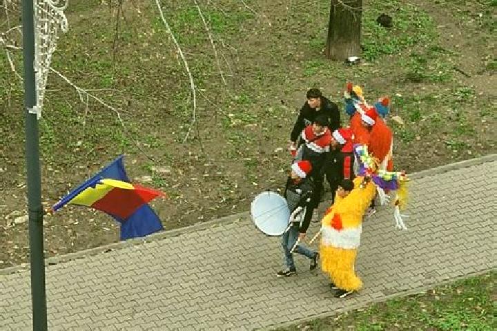Escorts Lugojel, Romania — Local Companions