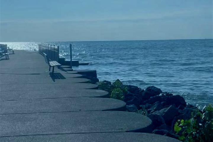 Escorts Luna Pier, United States — Local Companions