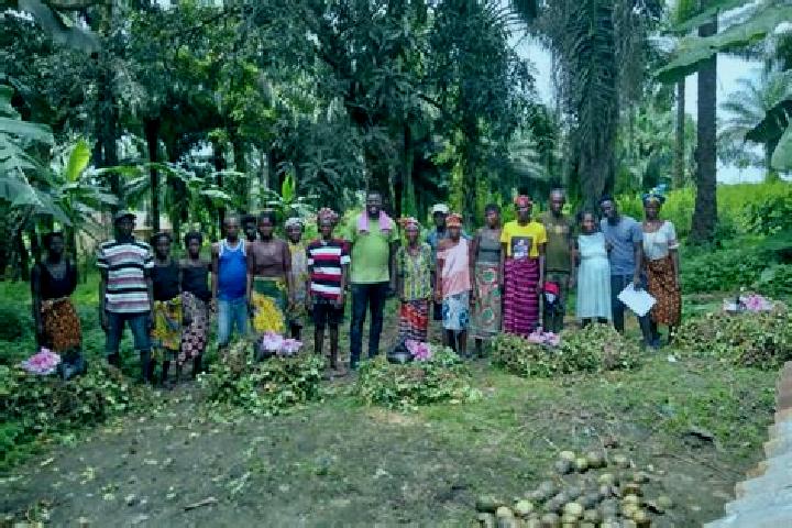 Escorts Lunsar, Sierra Leone — Local Companions