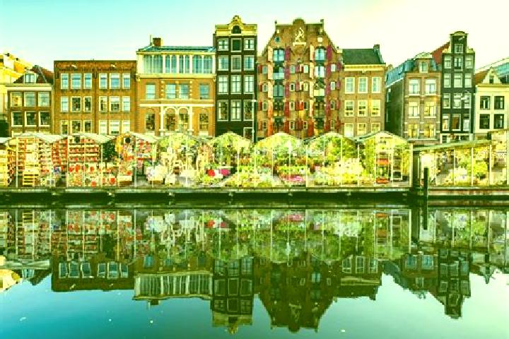 Escorts Lutjegast, Netherlands — Local Companions