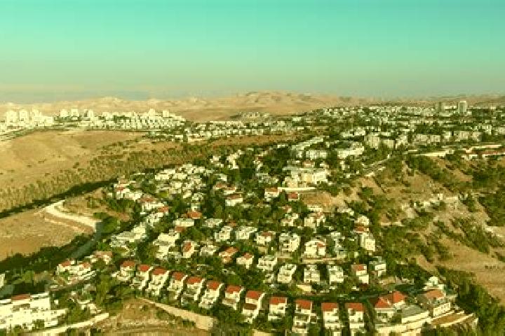 Escorts Ma ale Efrayim, Palestine — Local Companions