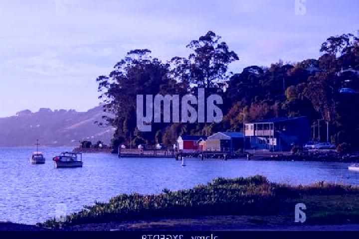 Escorts Macandrew Bay, New Zealand — Local Companions