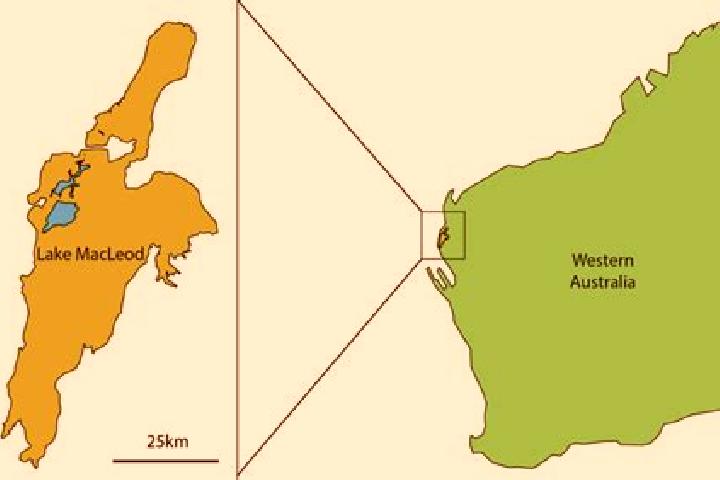 Escorts Macleod, Australia — Local Companions