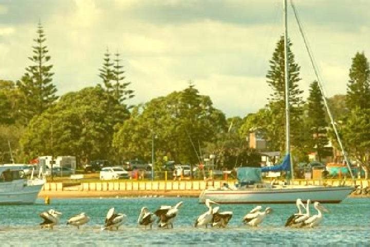 Escorts Macquarie Hills, Australia — Local Companions