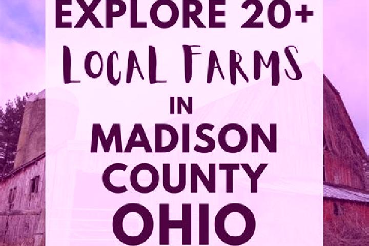 Escorts Madison, United States — Local Companions