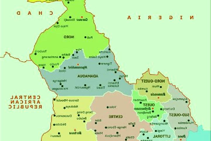 Escorts Magba, Cameroon — Local Companions