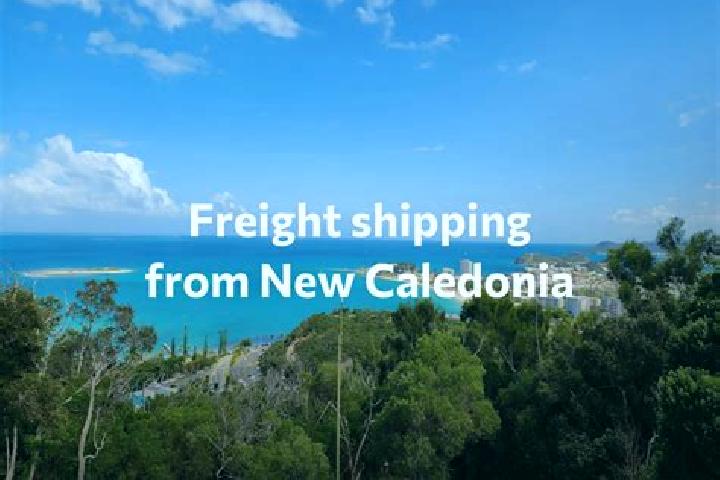 Escorts Magenta, New Caledonia — Local Companions