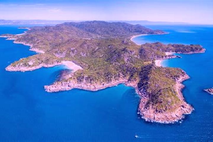 Escorts Magnetic Island, Australia — Local Companions