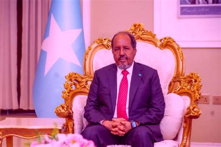 Escorts Mahaddayweyne, Somalia — Local Companions