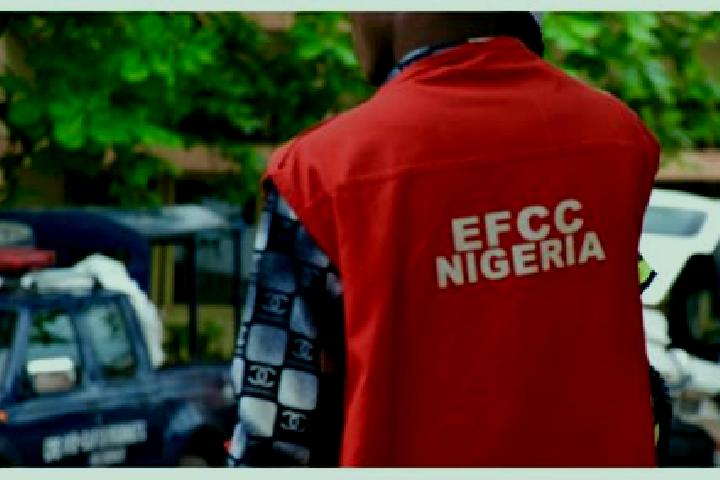 Escorts Maiduguri, Nigeria — Local Companions