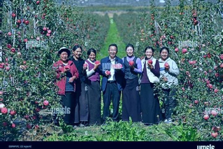 Escorts Mainling, China — Local Companions