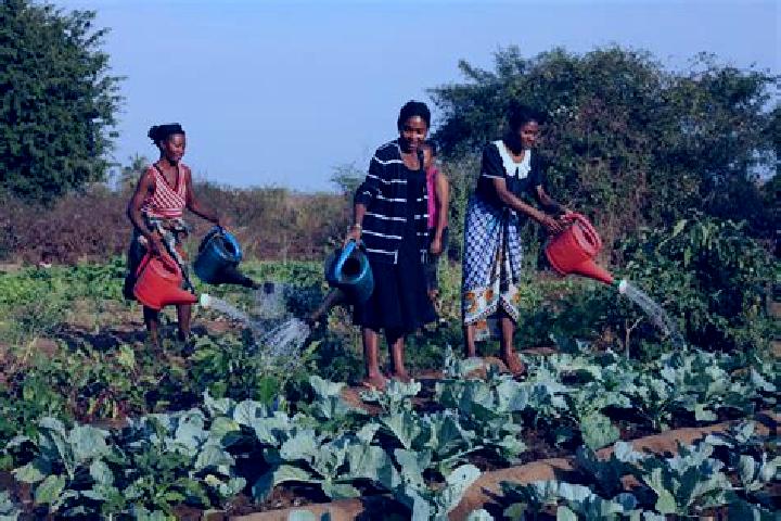 Escorts Maintirano, Madagascar — Local Companions