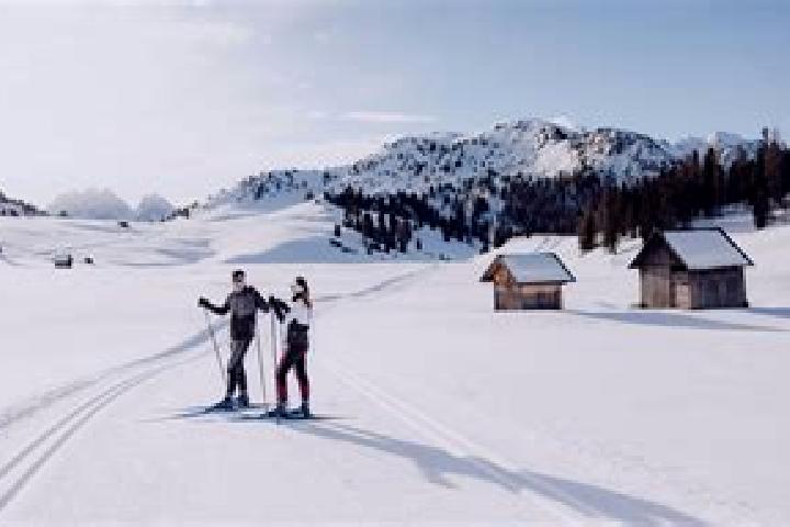 Escorts Maishofen, Austria — Local Companions