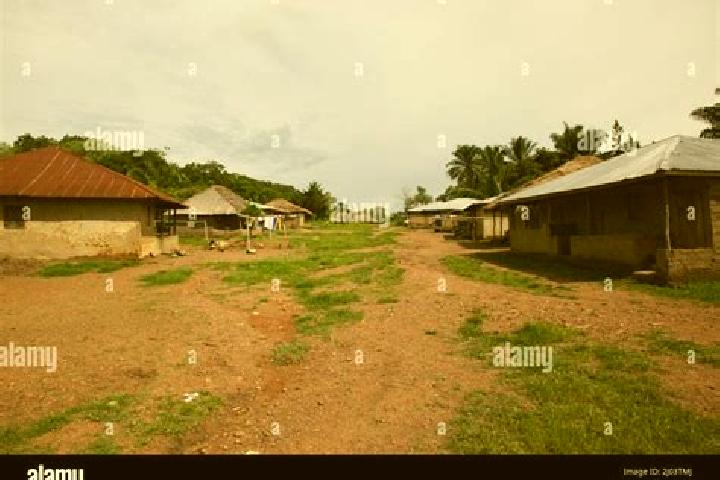 Escorts Makali, Sierra Leone — Local Companions