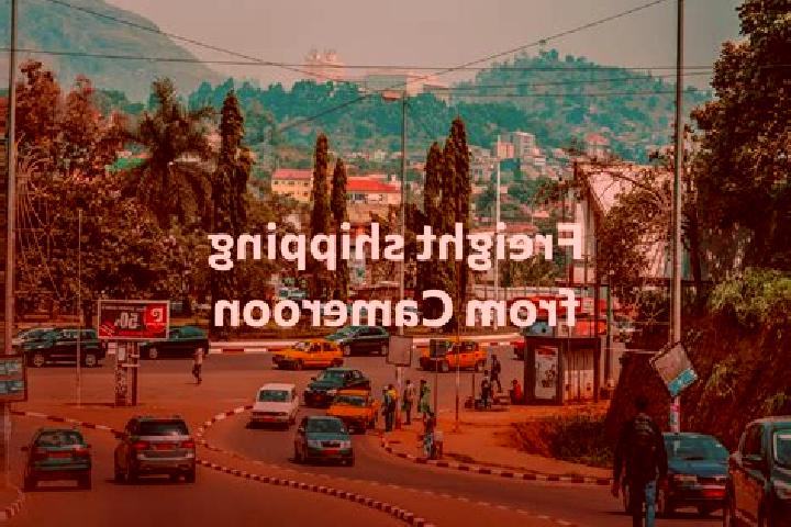 Escorts Makary, Cameroon — Local Companions