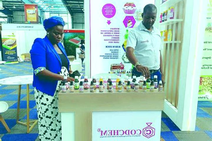 Escorts Makoba, Botswana — Local Companions