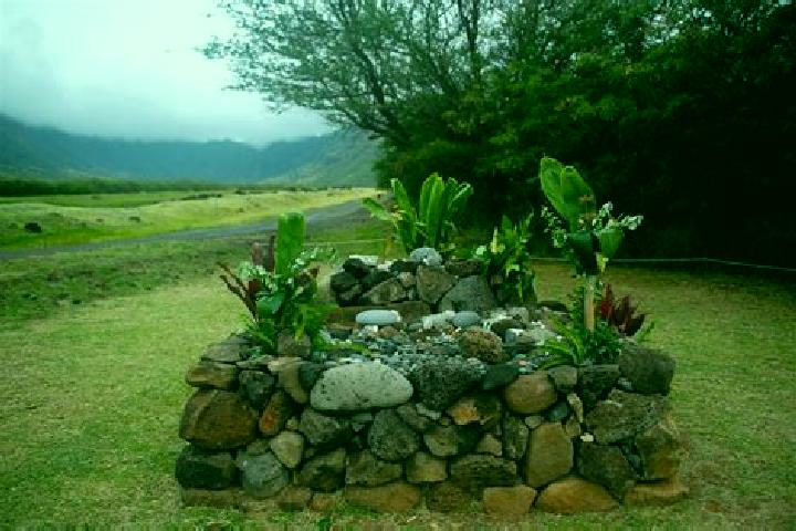 Escorts Makua Valley, United States — Local Companions