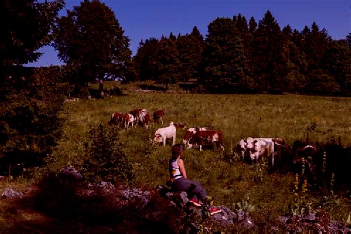 Escorts Malbuisson, France — Local Companions