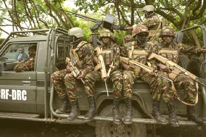 Escorts Malemba, DR Congo — Local Companions