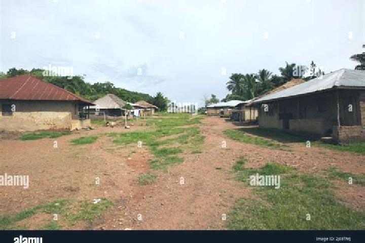 Escorts Mamboma, Sierra Leone — Local Companions
