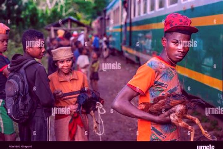 Escorts Manakara, Madagascar — Local Companions