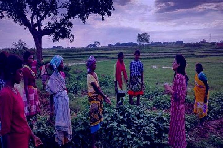 Escorts Mandla, India — Local Companions