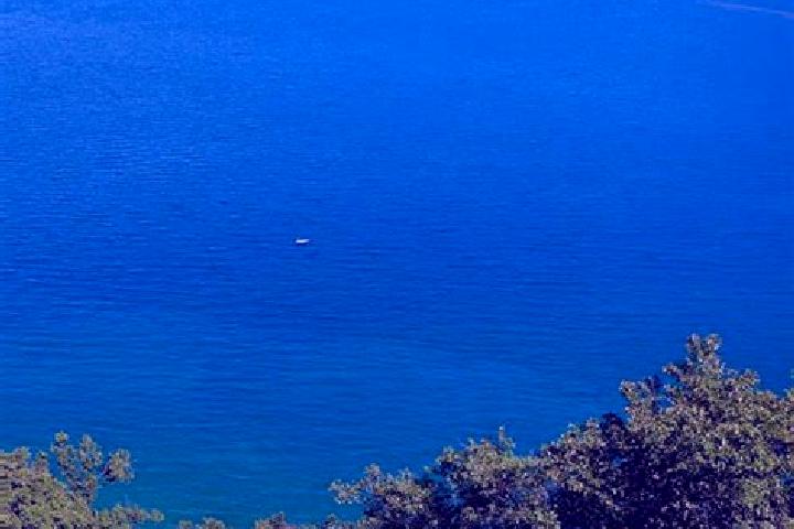 Escorts Manerba del Garda, Italy — Local Companions