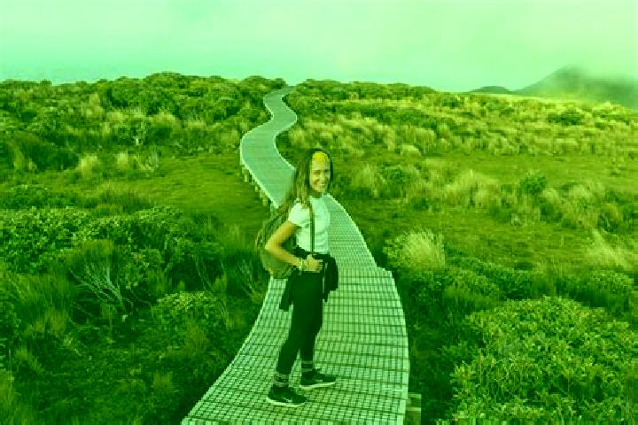 Escorts Mangorei, New Zealand — Local Companions