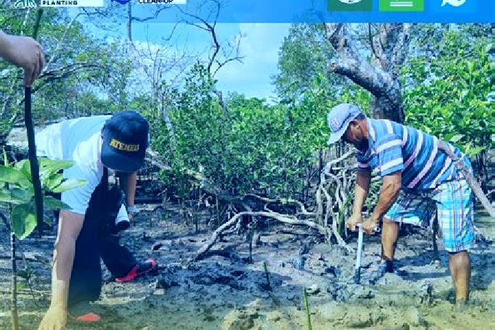 Escorts Mangrove Bight, Honduras — Local Companions