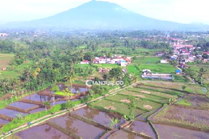 Escorts Manis Karangtengah, Indonesia — Local Companions