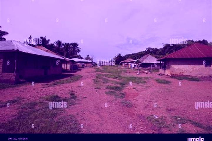 Escorts Manowa, Sierra Leone — Local Companions