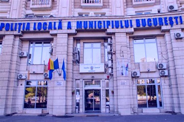 Escorts Marcea, Romania — Local Companions