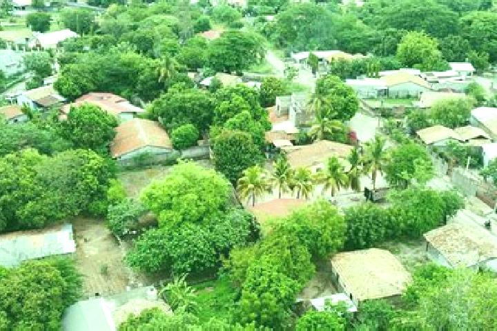 Escorts Marcovia, Honduras — Local Companions