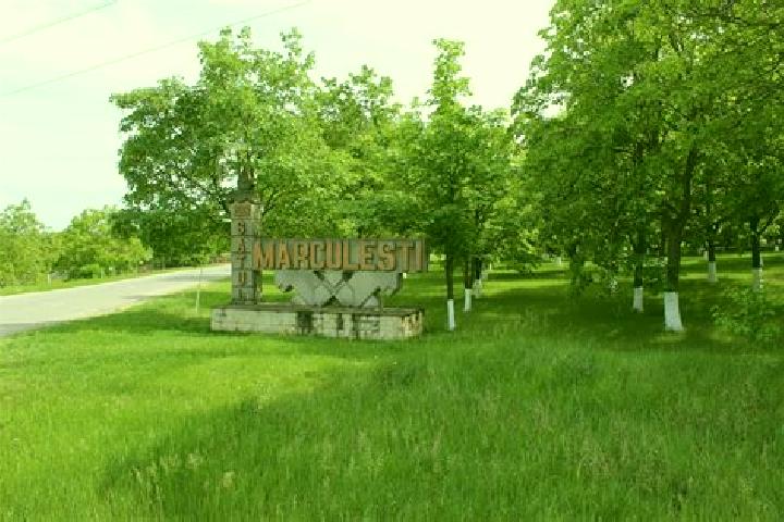 Escorts Marculesti, Moldova — Local Companions