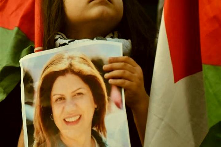 Escorts Marda, Palestine — Local Companions