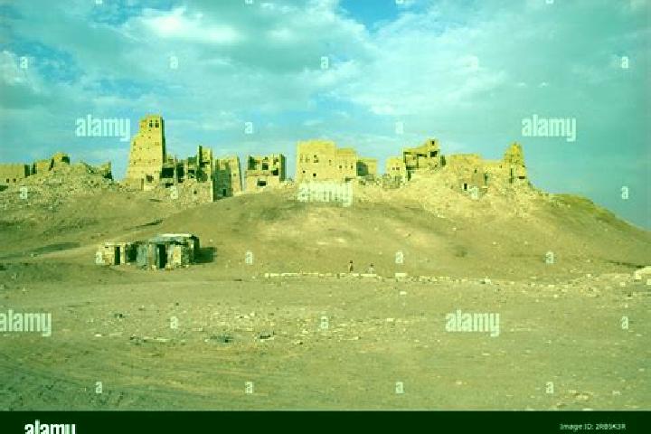 Escorts Ma rib, Yemen — Local Companions