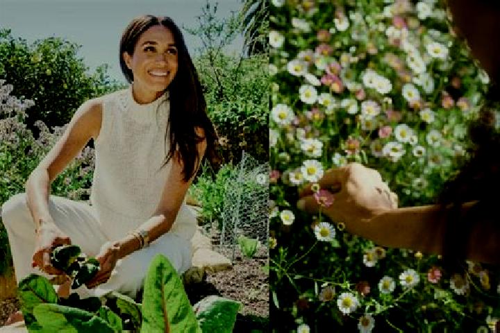 Escorts Markle, United States — Local Companions